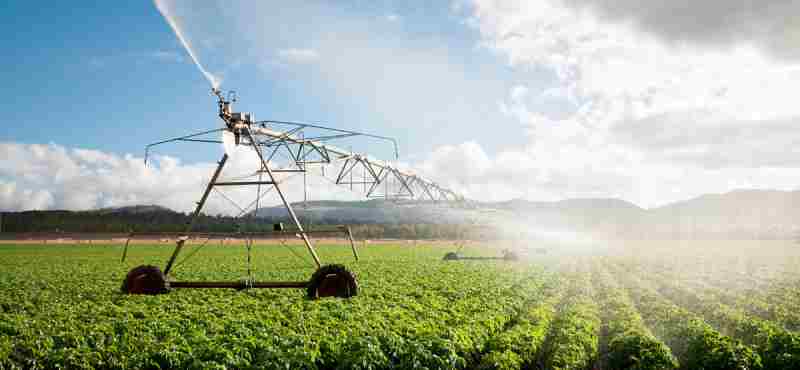 o-que-e-agricultura-intensiva